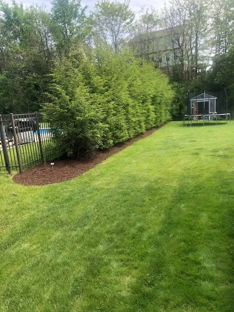 Reliable outdoor landscaping for residential properties in Pittsburgh, PA by Dsobes Lawn Pros