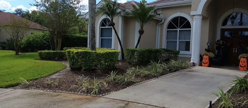 Trusted yard cleanup service for residential properties across Plant City, FL - DSP Landscaping