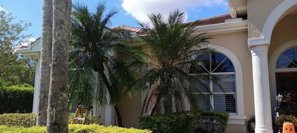 Expert yard maintenance experts serving Plant City, FL - DSP Landscaping