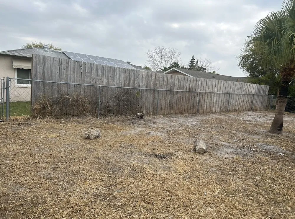 Top-rated yard cleanup service in Plant City, FL - DSP Landscaping