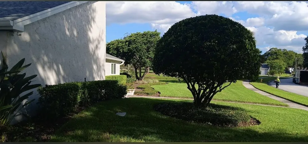 Custom lawn care service in Plant City, FL - DSP Landscaping