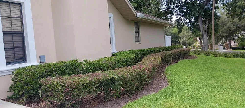 Affordable lawn care service near you in Plant City, FL by DSP Landscaping