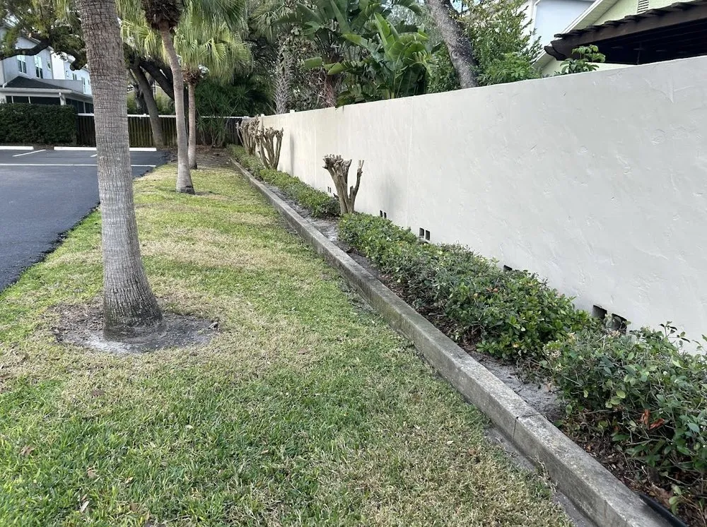 Affordable landscaping services experts serving Plant City, FL - DSP Landscaping