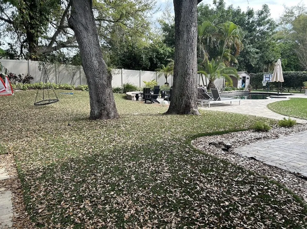 Trusted yard maintenance for outdoor upgrades across Plant City, FL - DSP Landscaping