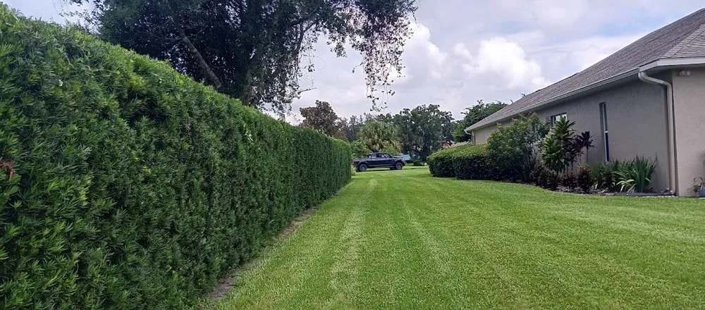 Trusted lawn care service for homes across Plant City, FL - DSP Landscaping