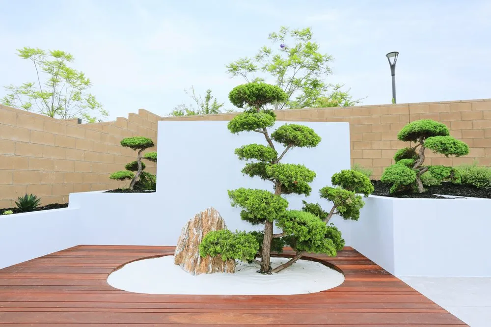 Trusted yard cleanup service in Irvine, CA - Dspace Design