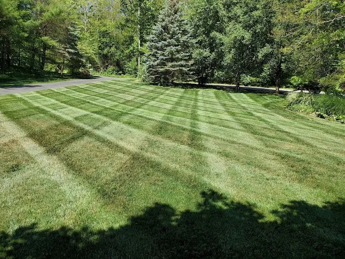 Trusted landscape installation experts serving Park Rapids, MN - DSPLN Exteriors