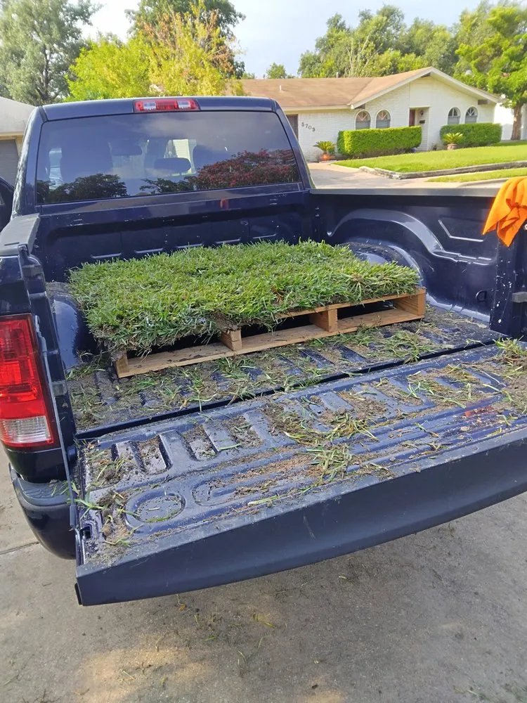 Local yard cleanup service in Austin, TX - DSR Enterprises