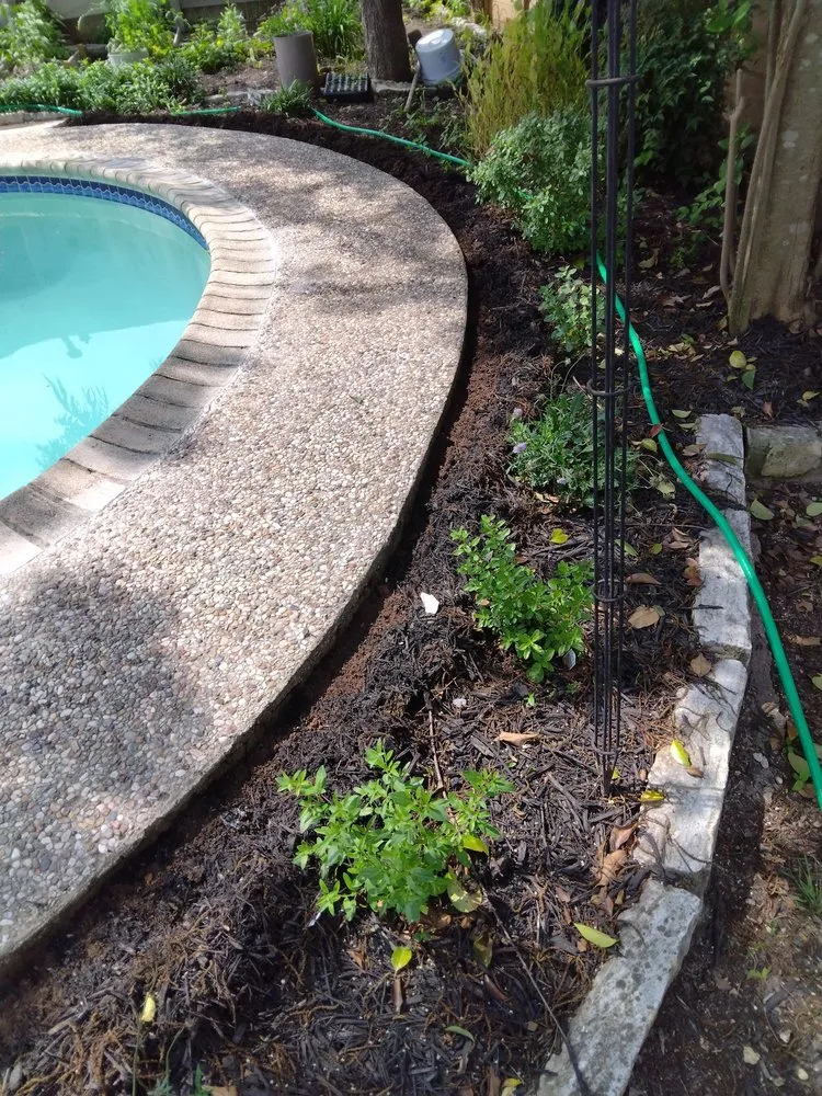 Top-rated garden landscaping in Austin, TX by DSR Enterprises