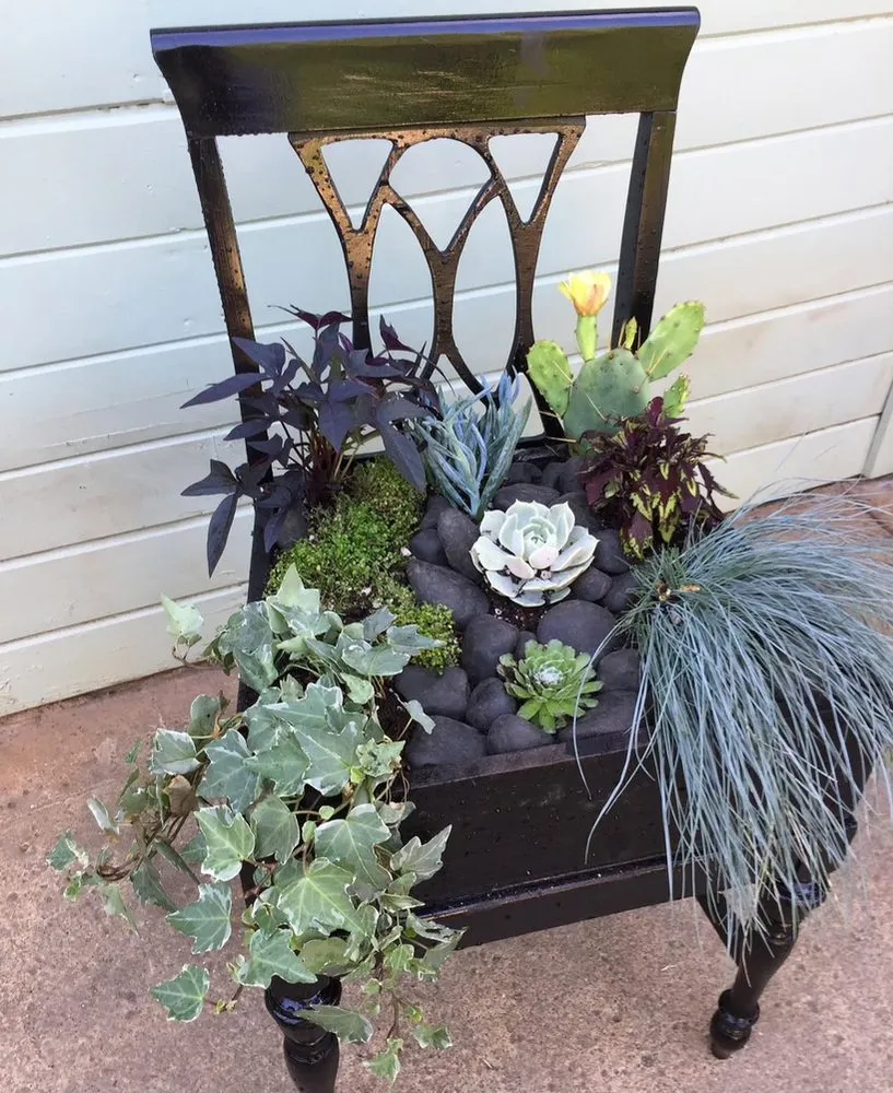 Custom lawn care service near you in El Paso, TX by DsrTex Landscape Solutions