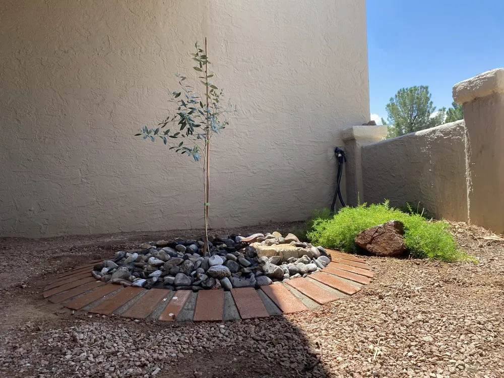 Trusted lawn mowing service in El Paso, TX by DsrTex Landscape Solutions