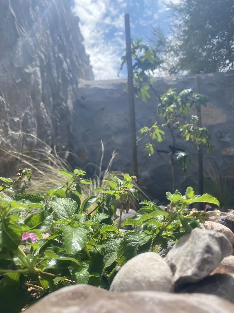 Trusted garden landscaping near you across El Paso, TX - DsrTex Landscape Solutions