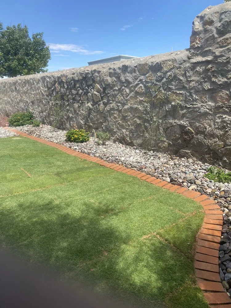 Professional yard maintenance experts serving El Paso, TX - DsrTex Landscape Solutions