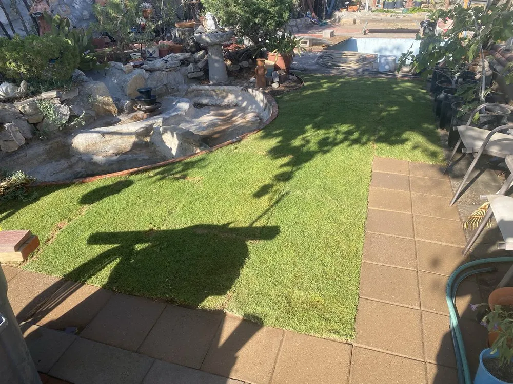 Expert landscaping services in El Paso, TX - DsrTex Landscape Solutions