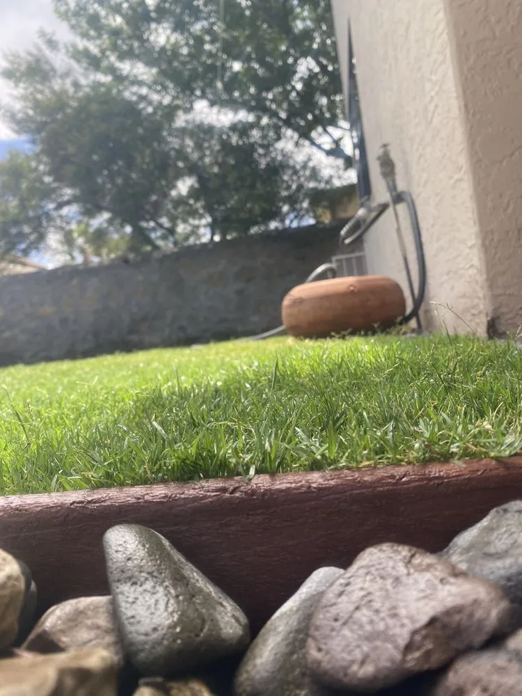 Reliable yard maintenance with custom design across El Paso, TX - DsrTex Landscape Solutions