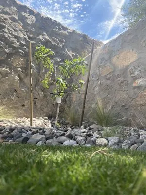 DsrTex Landscape Solutions