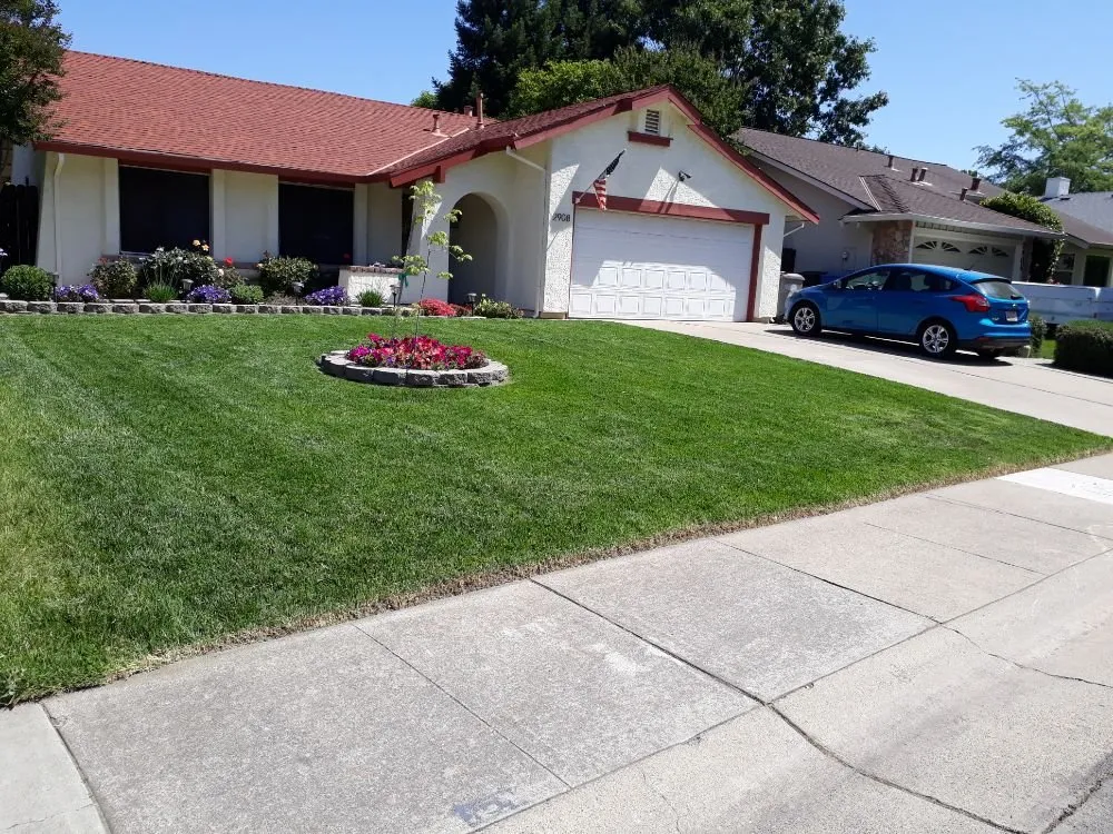 Reliable lawn mowing service near you in Sacramento, CA by DST Landscaping and Maintenance Services