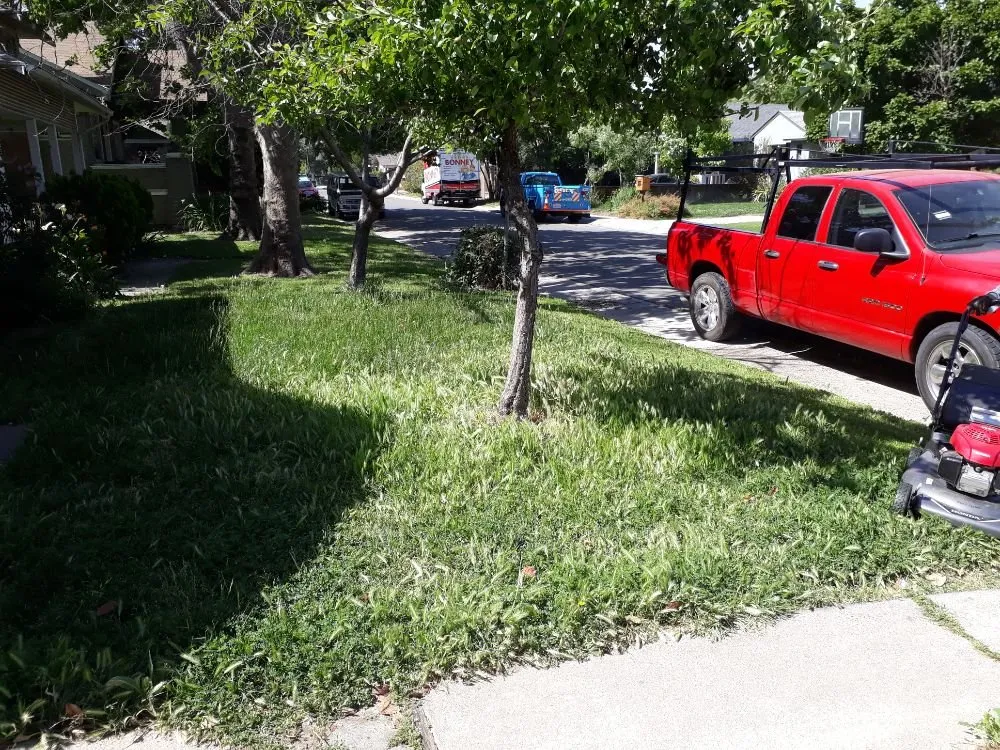 Local yard cleanup service in Sacramento, CA - DST Landscaping and Maintenance Services