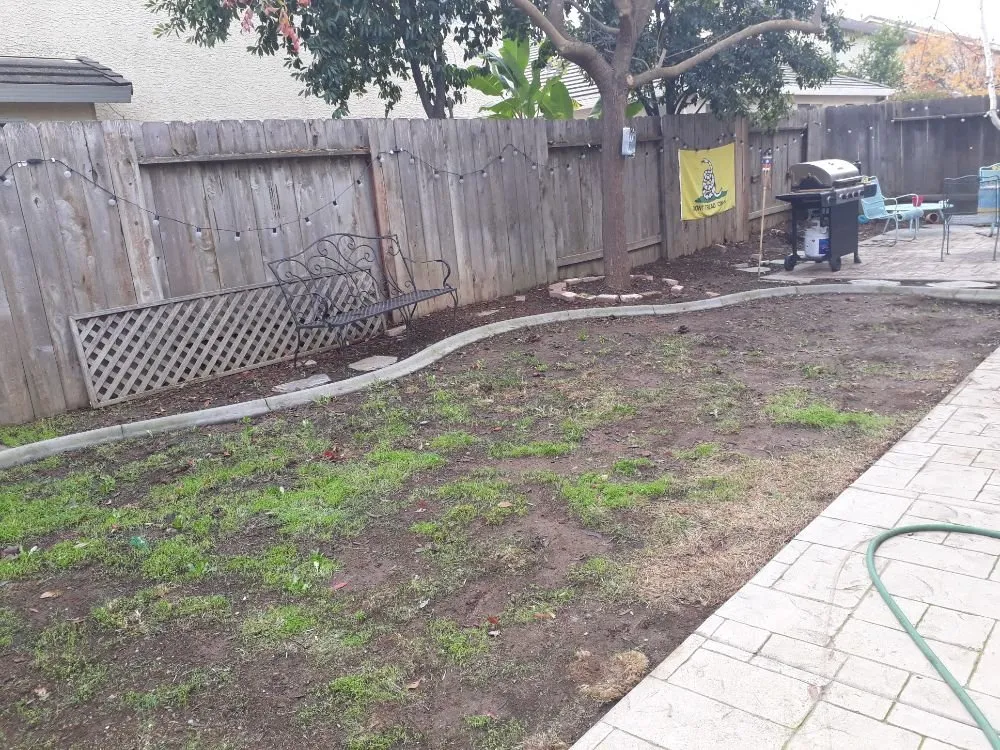 Custom lawn mowing service experts serving Sacramento, CA - DST Landscaping and Maintenance Services