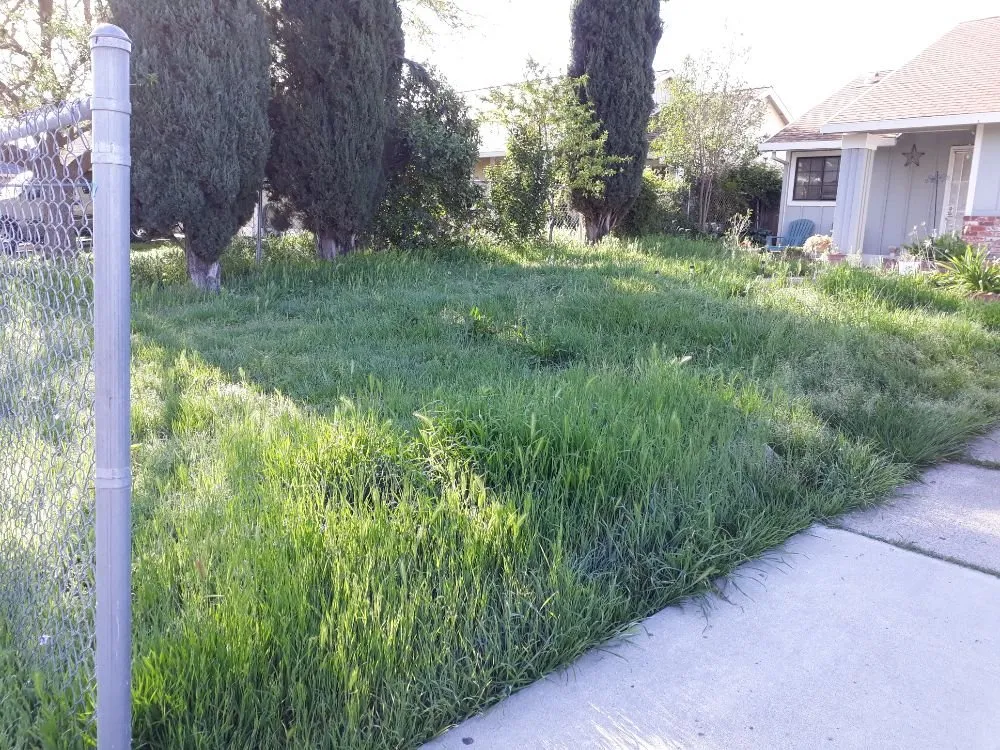 Top-rated lawn care service for outdoor upgrades across Sacramento, CA - DST Landscaping and Maintenance Services