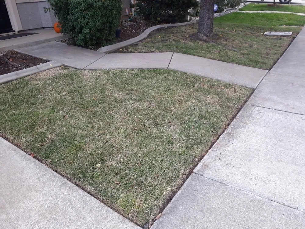 Local residential landscaping in Sacramento, CA - DST Landscaping and Maintenance Services