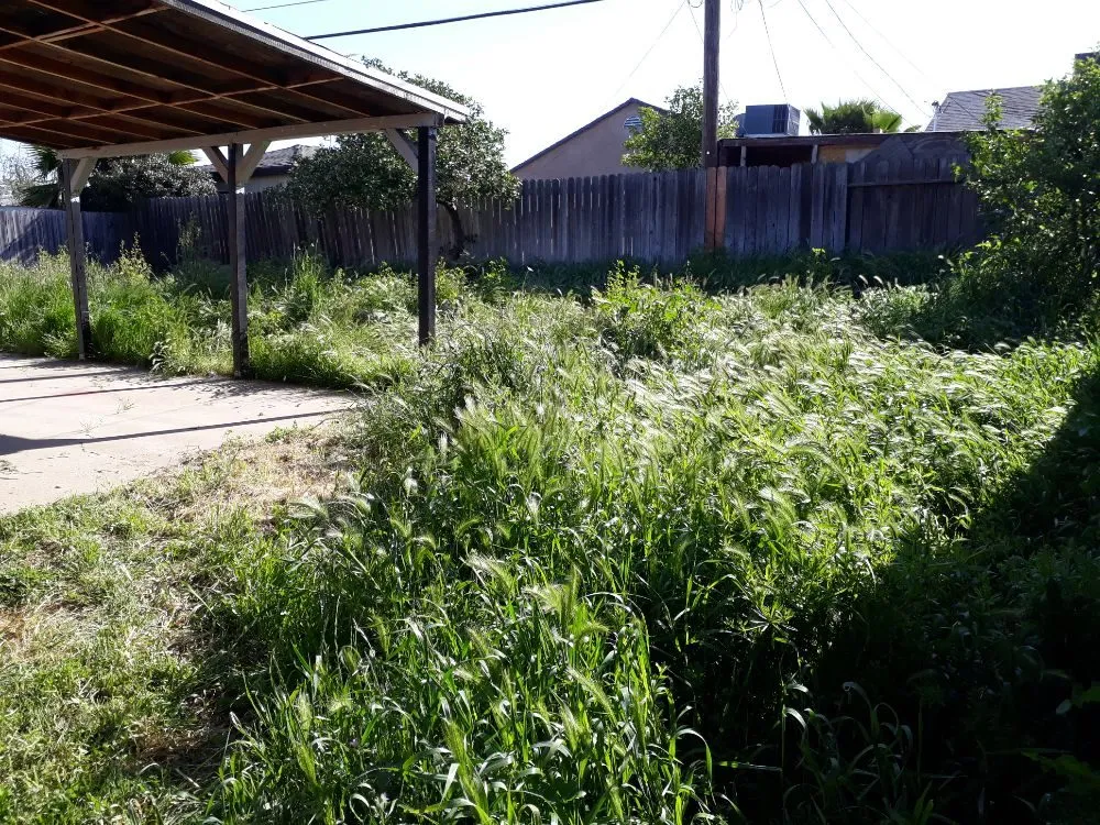 Custom lawn mowing service in Sacramento, CA - DST Landscaping and Maintenance Services