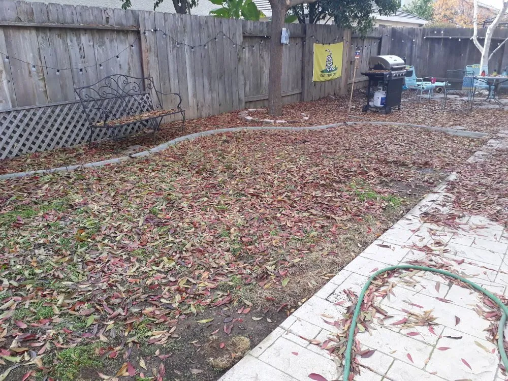 Local yard maintenance experts serving Sacramento, CA - DST Landscaping and Maintenance Services