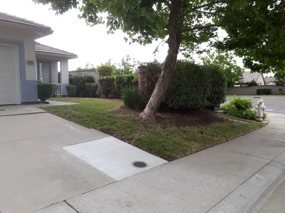 Custom landscaping services for outdoor upgrades across Sacramento, CA - DST Landscaping and Maintenance Services