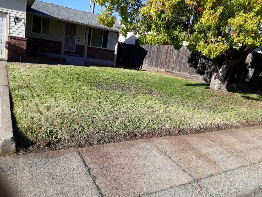 Top-rated yard maintenance in Sacramento, CA - DST Landscaping and Maintenance Services