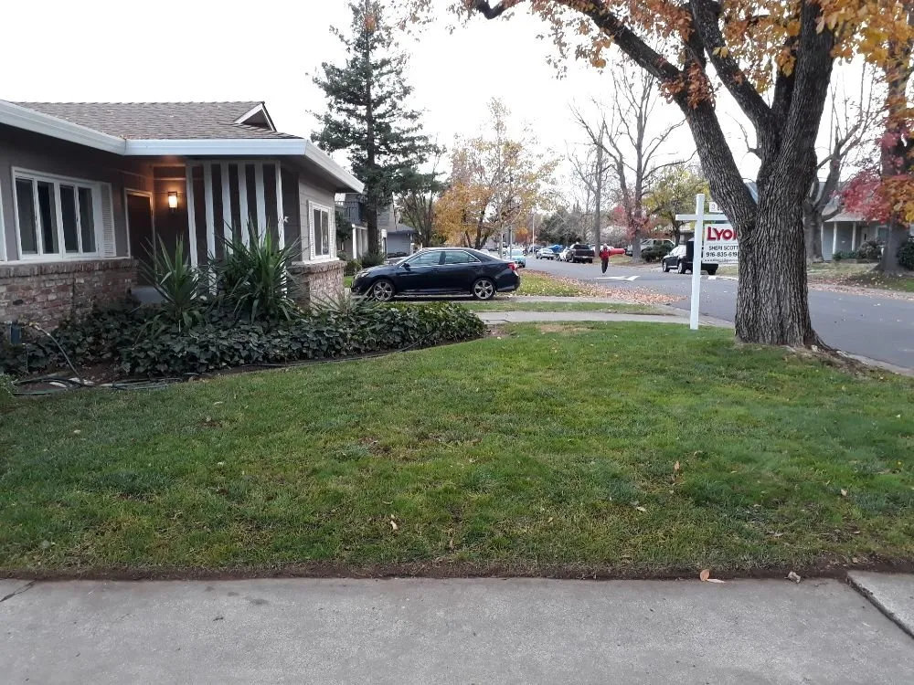 Trusted yard maintenance in Sacramento, CA by DST Landscaping and Maintenance Services