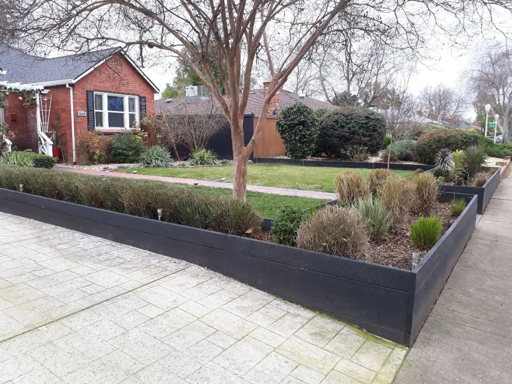 Affordable yard cleanup service for year-round maintenance in Sacramento, CA by DST Landscaping and Maintenance Services