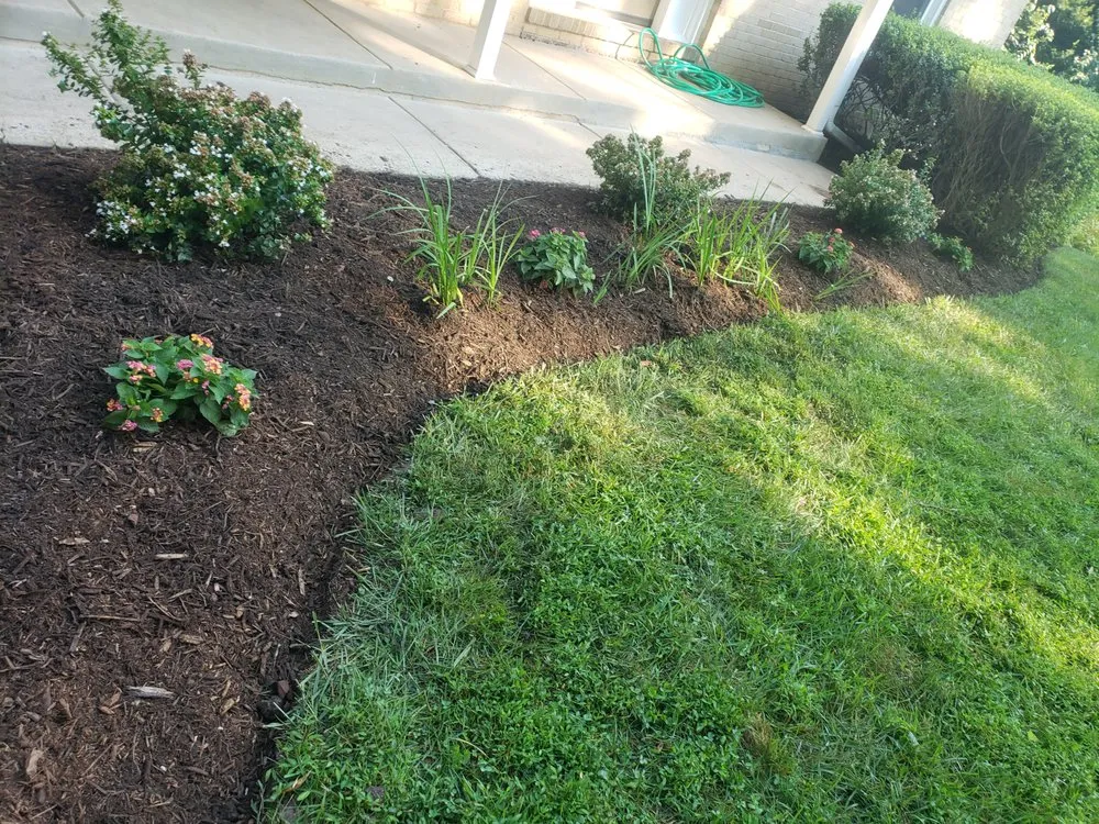 Expert residential landscaping in Dundalk, MD by DST Landscaping