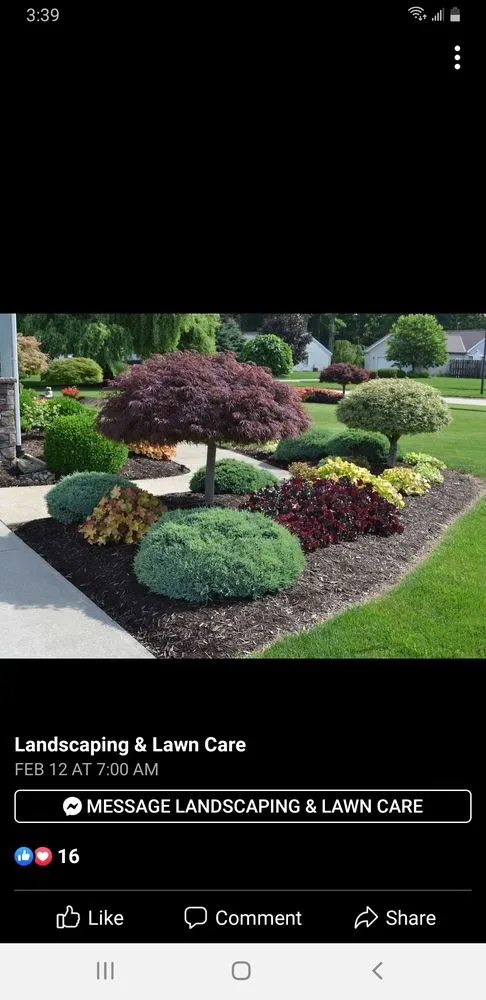 Trusted landscaping services in Dundalk, MD by DST Landscaping