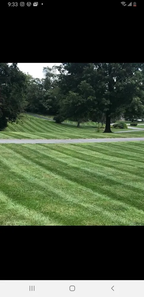 Trusted yard maintenance for year-round maintenance across Dundalk, MD - DST Landscaping