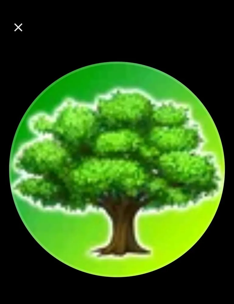 Trusted outdoor landscaping for homes in Dundalk, MD by DST Landscaping