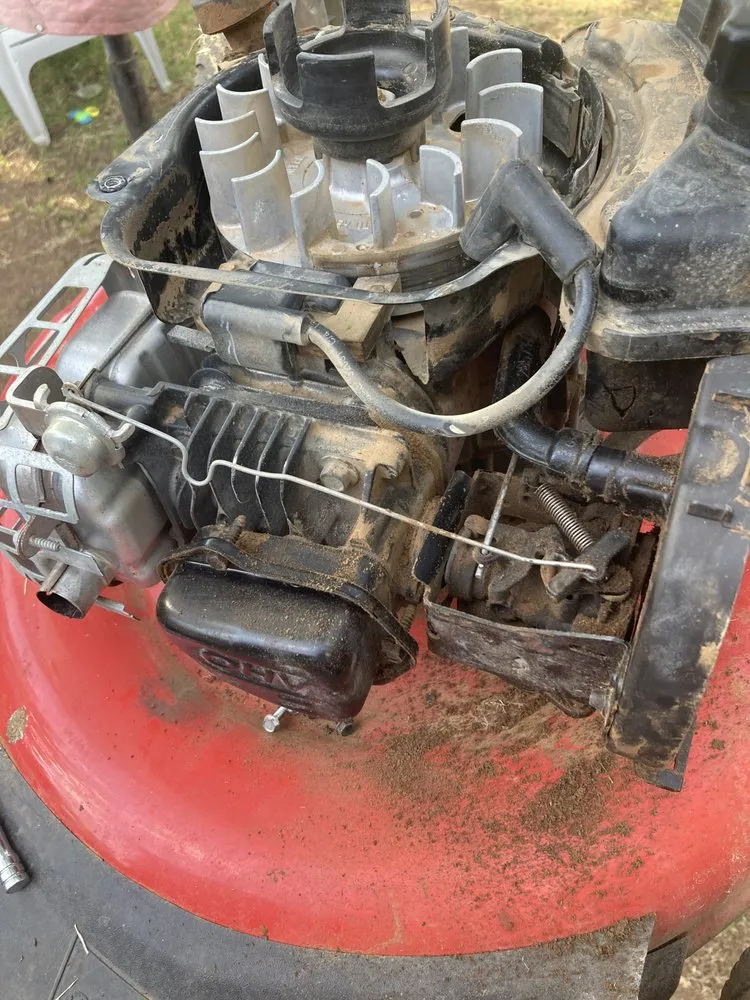 Local yard cleanup service for year-round maintenance in Lubbock, TX by Dstartup