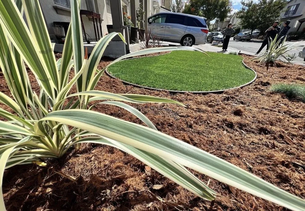 Expert yard cleanup service in Brentwood, CA by DT Construction