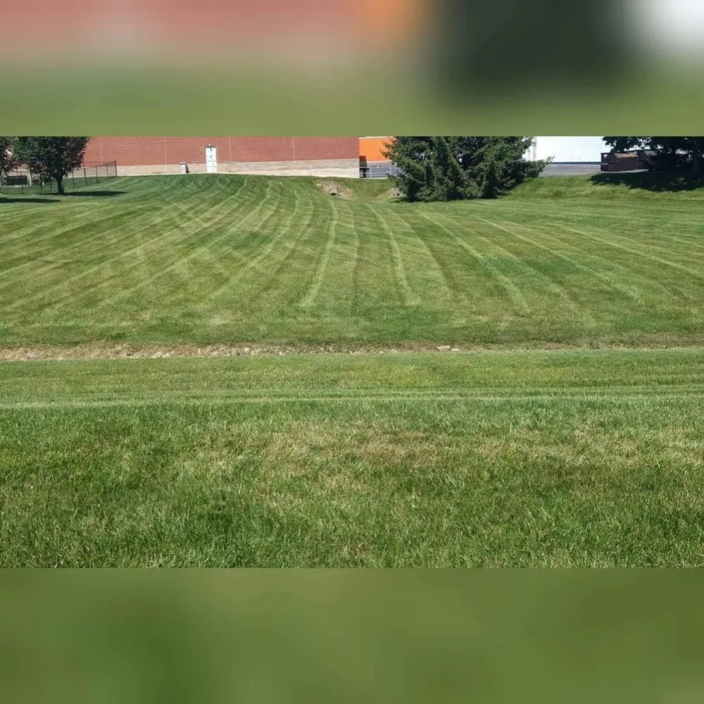 Affordable landscape installation in Dayton, OH - DT Demo & Property Services