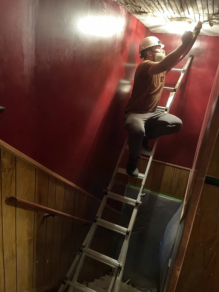 Expert yard cleanup service experts serving Dayton, OH - DT Demo & Property Services