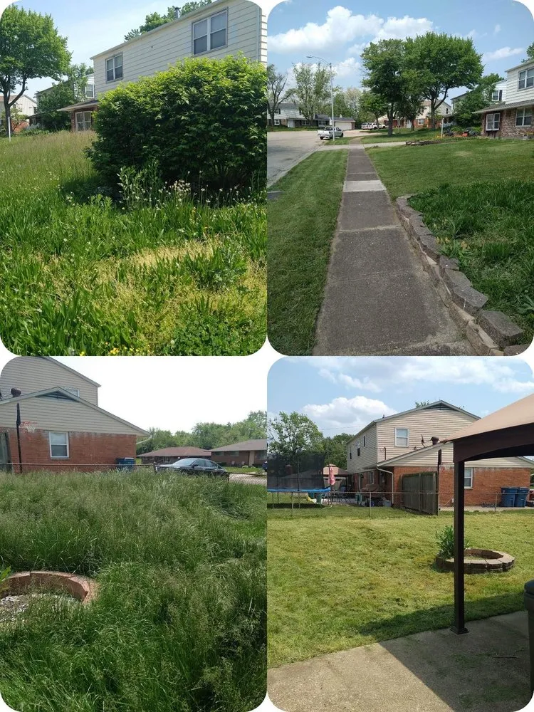 Expert residential landscaping in Dayton, OH - DT Demo & Property Services