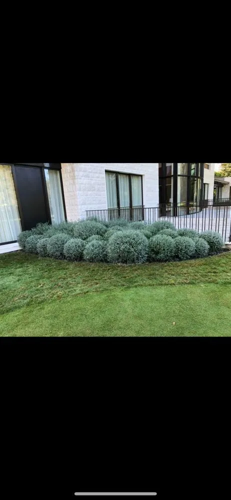 Professional lawn care service in Prosser, WA - DT Garden Service