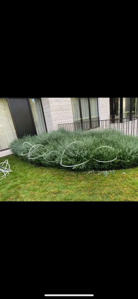 Expert lawn mowing service for year-round maintenance in Prosser, WA by DT Garden Service