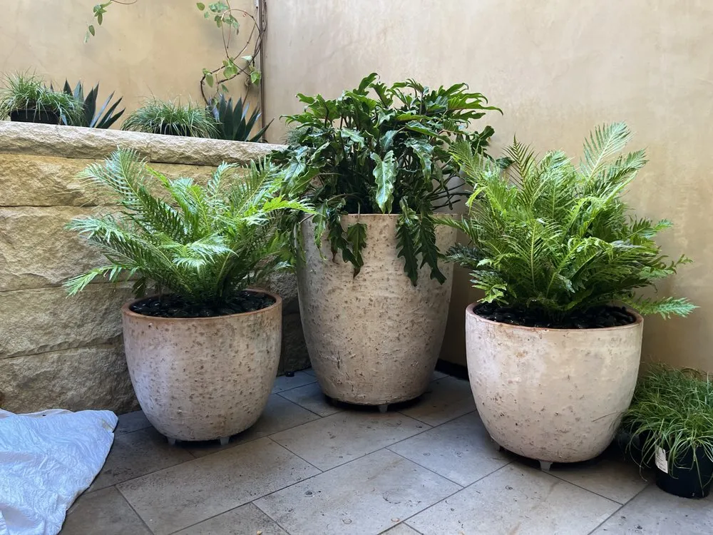 Local residential landscaping for year-round maintenance across Prosser, WA - DT Garden Service