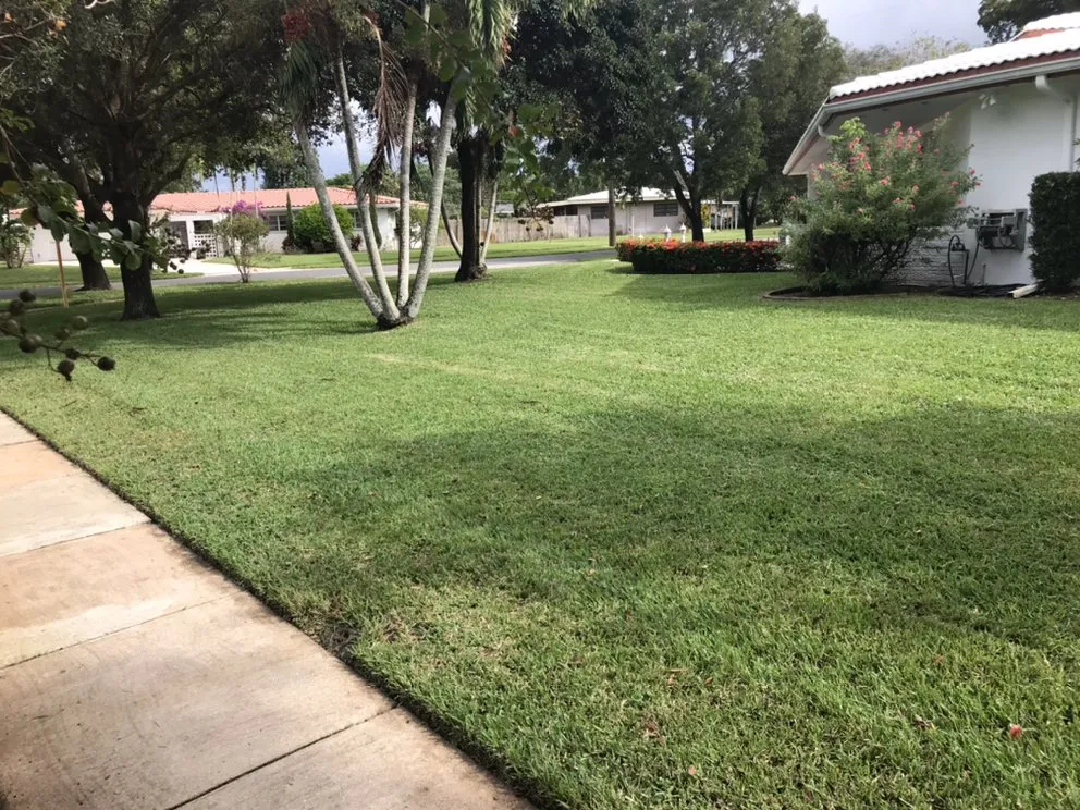 Affordable outdoor landscaping in Carol City, FL by D&T Land Scaping and lawn care