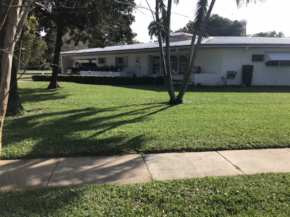 Affordable outdoor landscaping for homes across Carol City, FL - D&T Land Scaping and lawn care