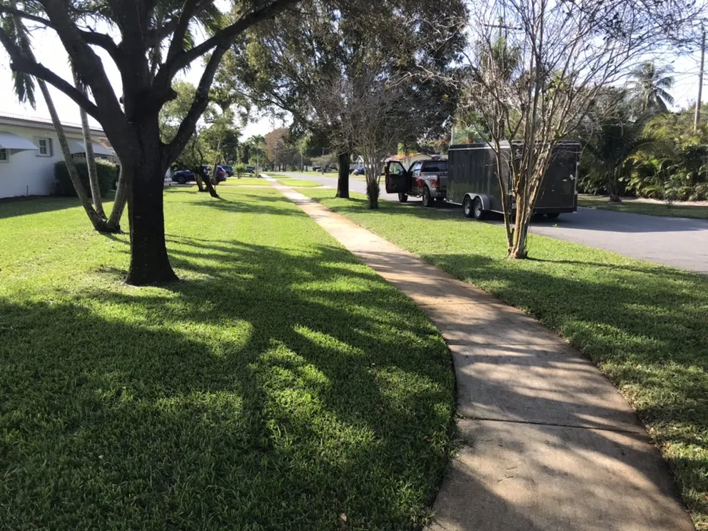 Top-rated outdoor landscaping experts serving Carol City, FL - D&T Land Scaping and lawn care