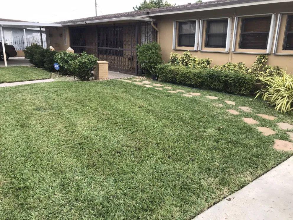 Trusted yard maintenance for residential properties in Carol City, FL by D&T Land Scaping and lawn care
