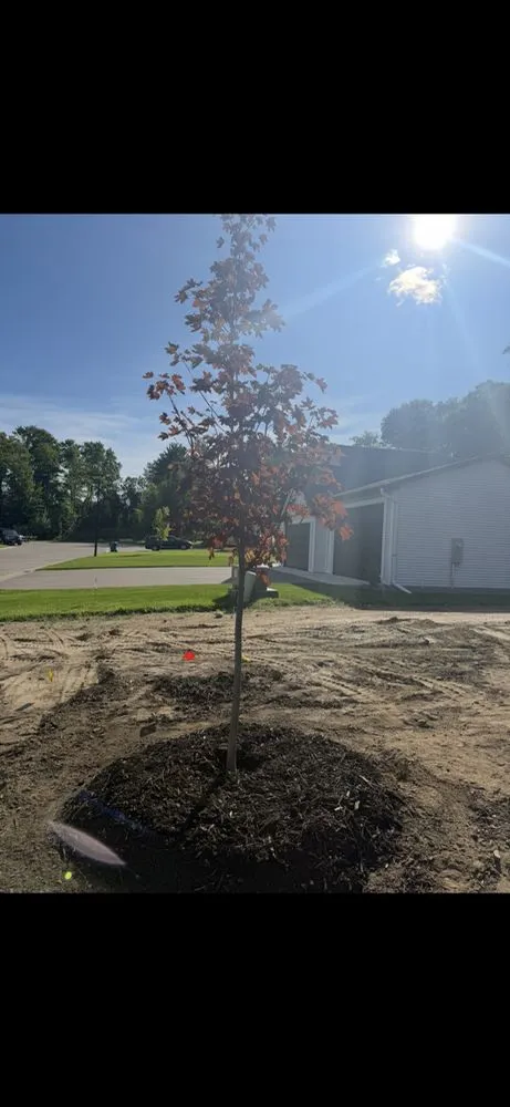 Expert lawn mowing service in Hopkins, MN - DT Landscape & Lawn Care