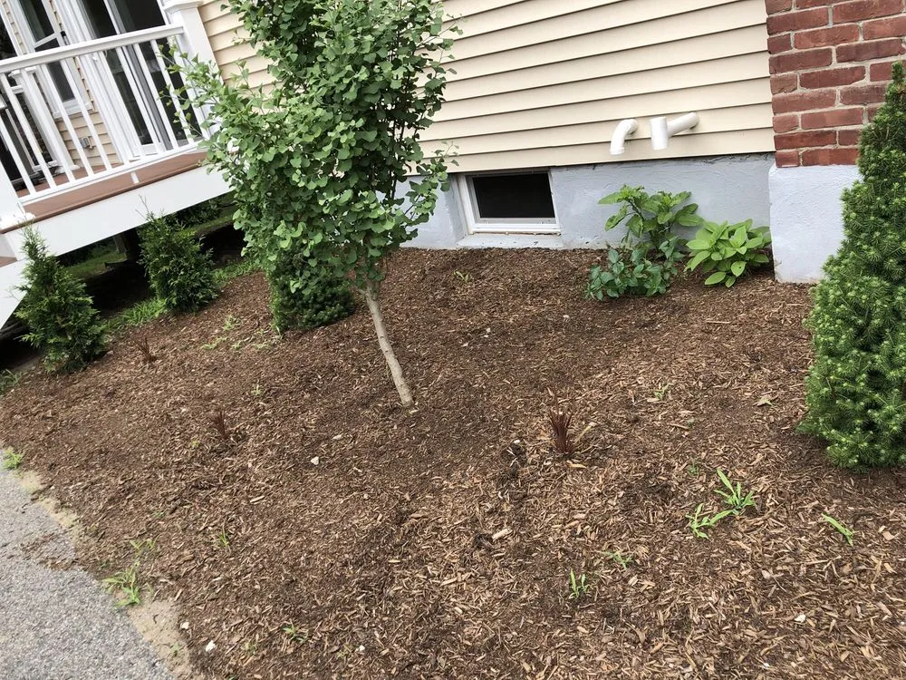 Custom garden landscaping experts serving Walpole, MA - DT Landscape