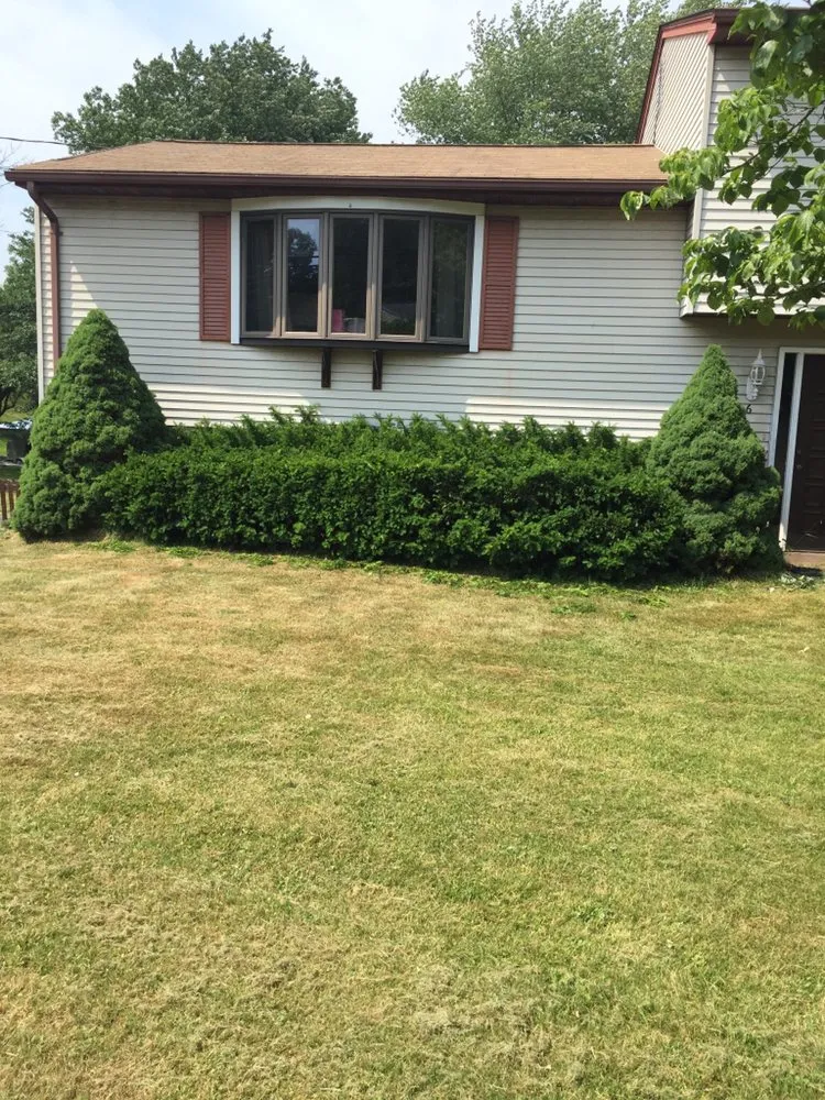 Expert lawn care service in North Haven, CT by DT Landscaping